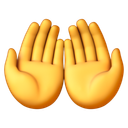 🤲 🤲
